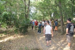 img_0659